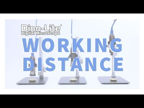 Acerca de la distancia de trabajo - Microscopios digitales Dino-Lite