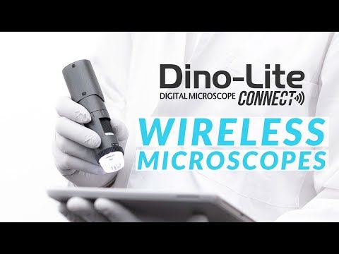 Microscopios inalámbricos Dino-Lite (iOS, Android, PC)